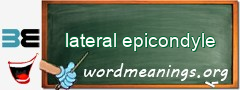 WordMeaning blackboard for lateral epicondyle